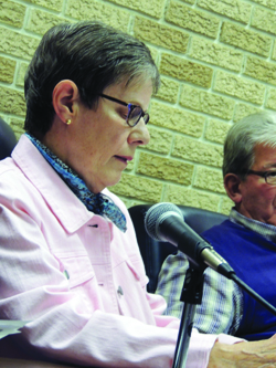 Kittanning Borough Councilwoman Betsy Wilt outlined why she opposed the projected plan Monday night during the monthly borough council meeting.