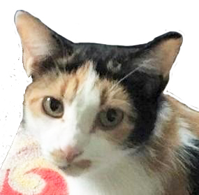 Cleopatra
